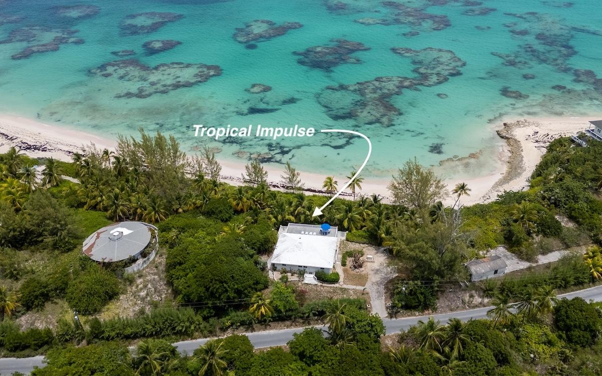 TROPICAL IMPLUSE BANKS RD