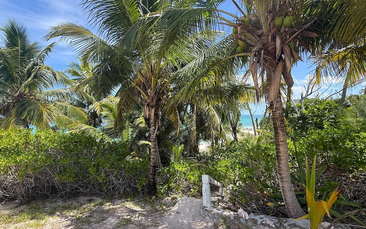 TROPICAL IMPLUSE BANKS RD