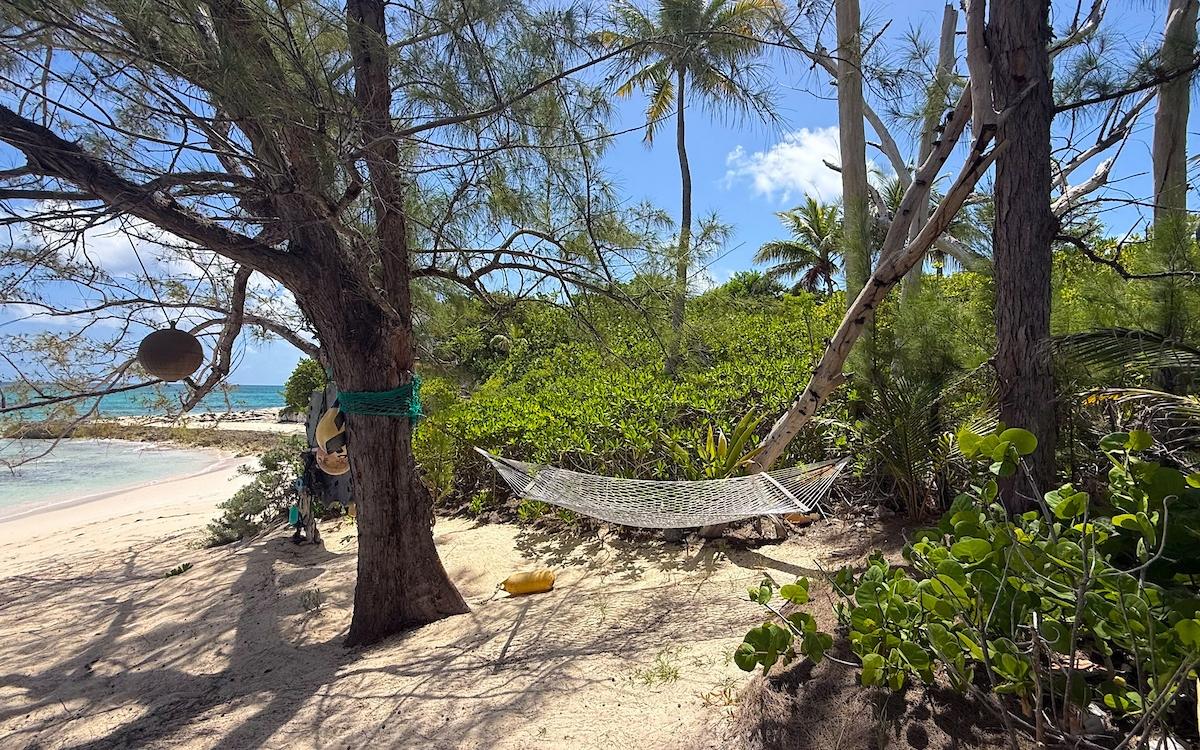 TROPICAL IMPLUSE BANKS RD