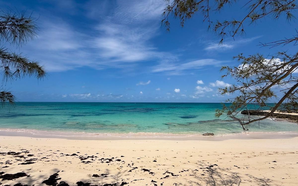 TROPICAL IMPLUSE BANKS RD