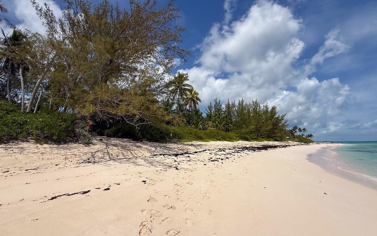 TROPICAL IMPLUSE BANKS RD