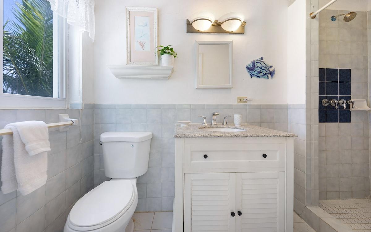 TROPICAL IMPLUSE BANKS RD