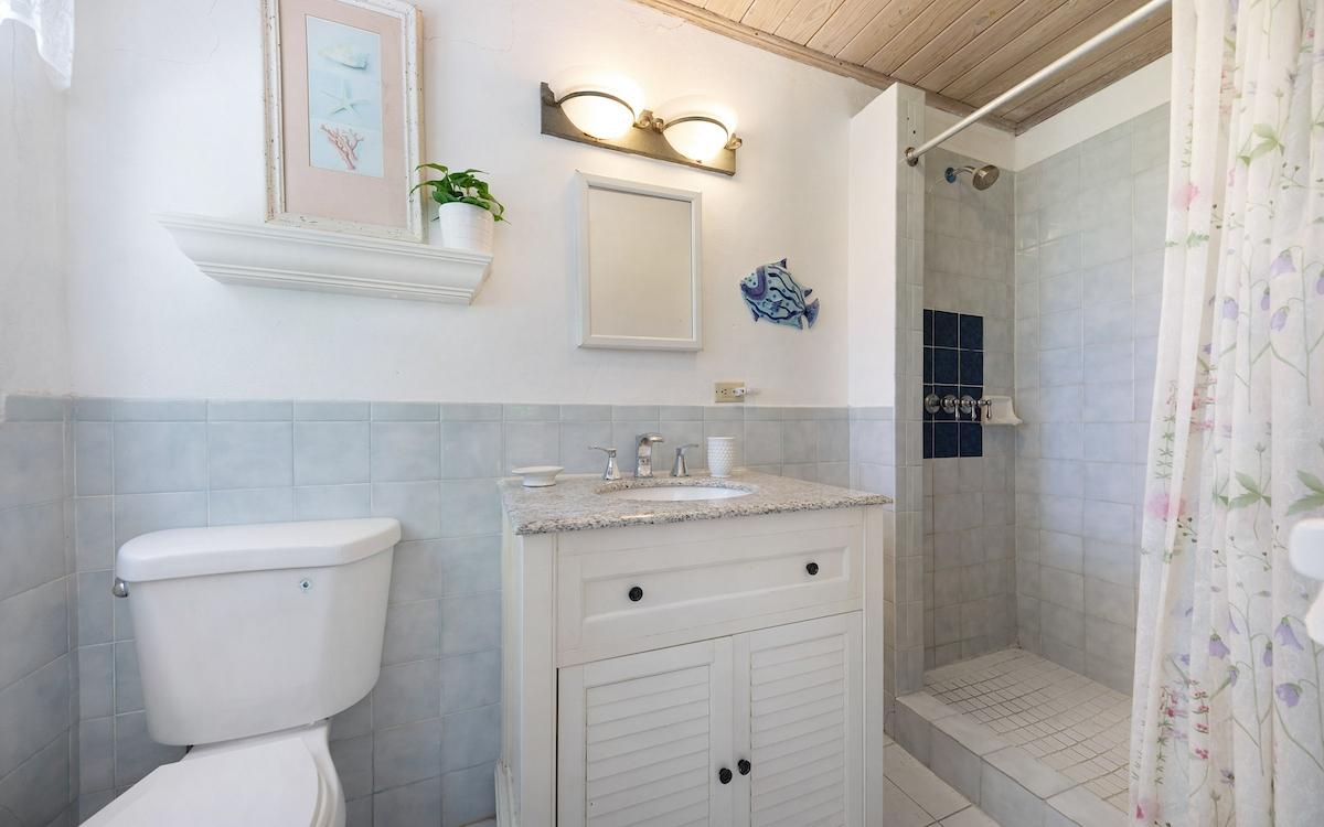 TROPICAL IMPLUSE BANKS RD