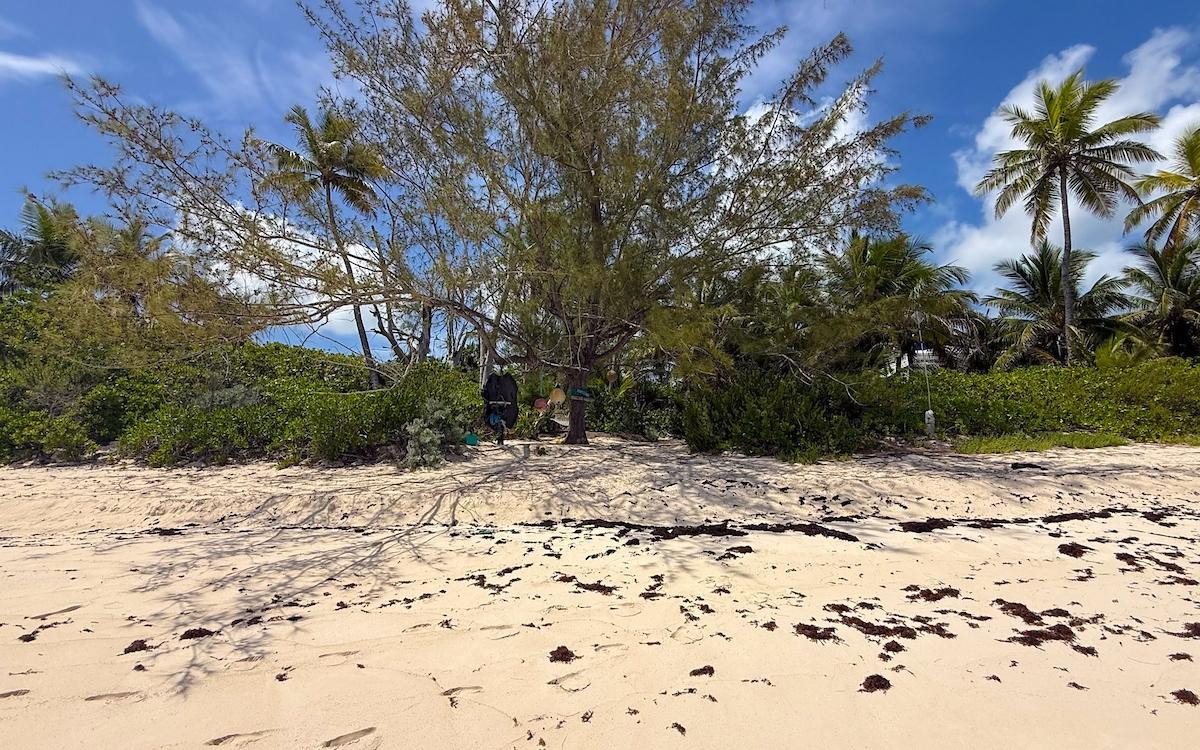 TROPICAL IMPLUSE BANKS RD