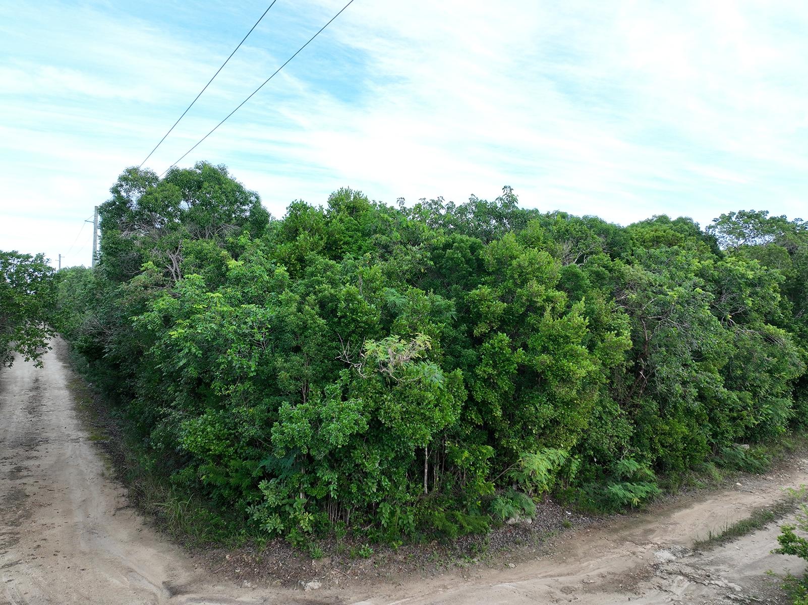 PARCEL A, WINDING BAY