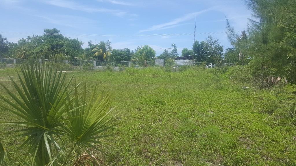 VACANT LOT RENTAL ON GLADSTONE ROAD