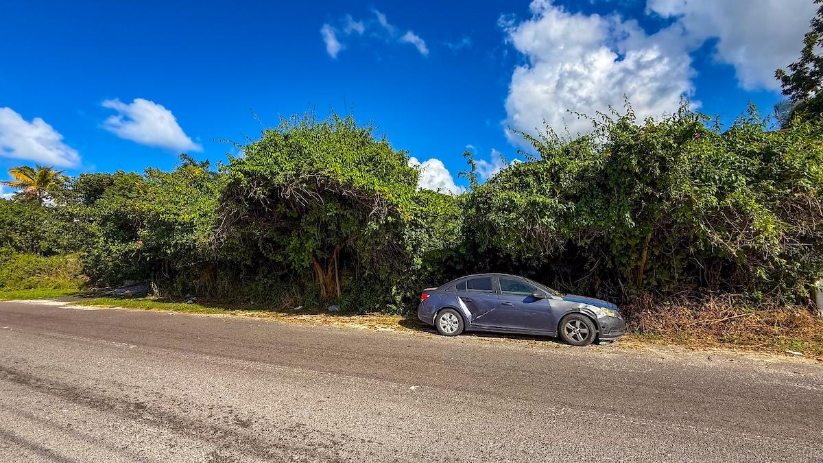 LOT 101 STAPLEDON GARDENS