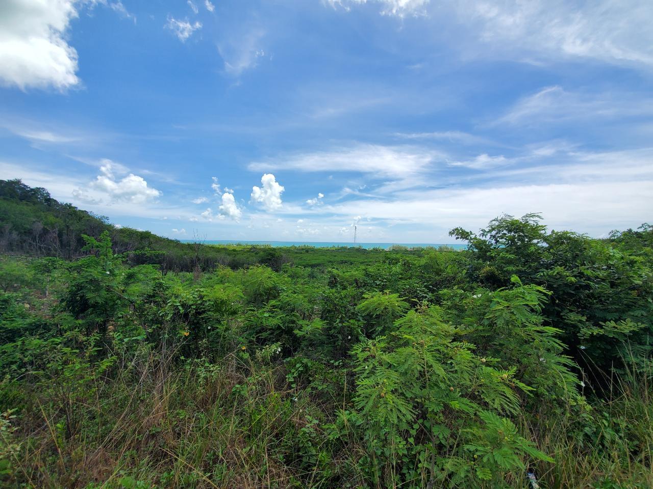 Mixed Use Vacant Lot