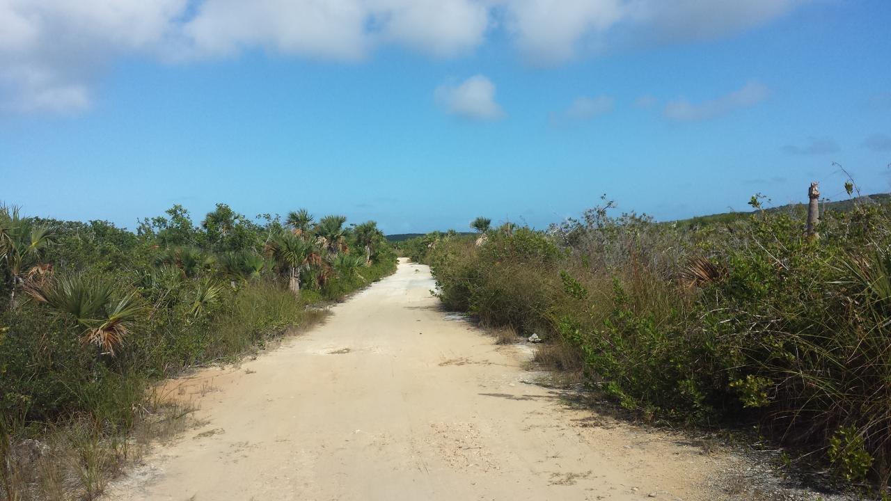 Mixed Use Vacant Lot