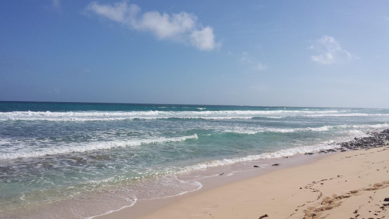 Mixed Use Vacant Lot