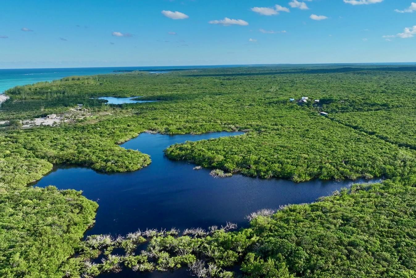CAMPERDOWN BEACHFRONT LOT