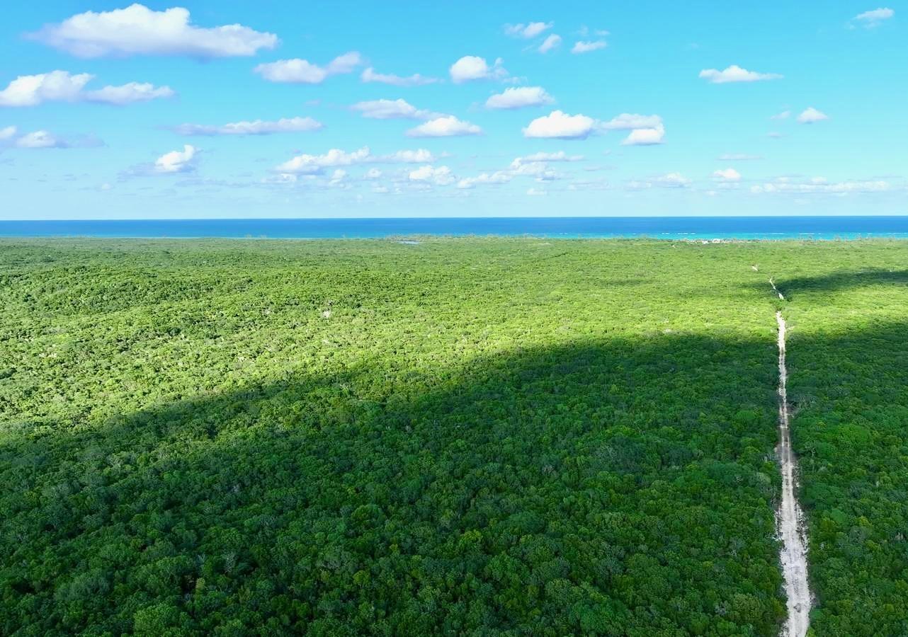 CAMPERDOWN BEACHFRONT LOT