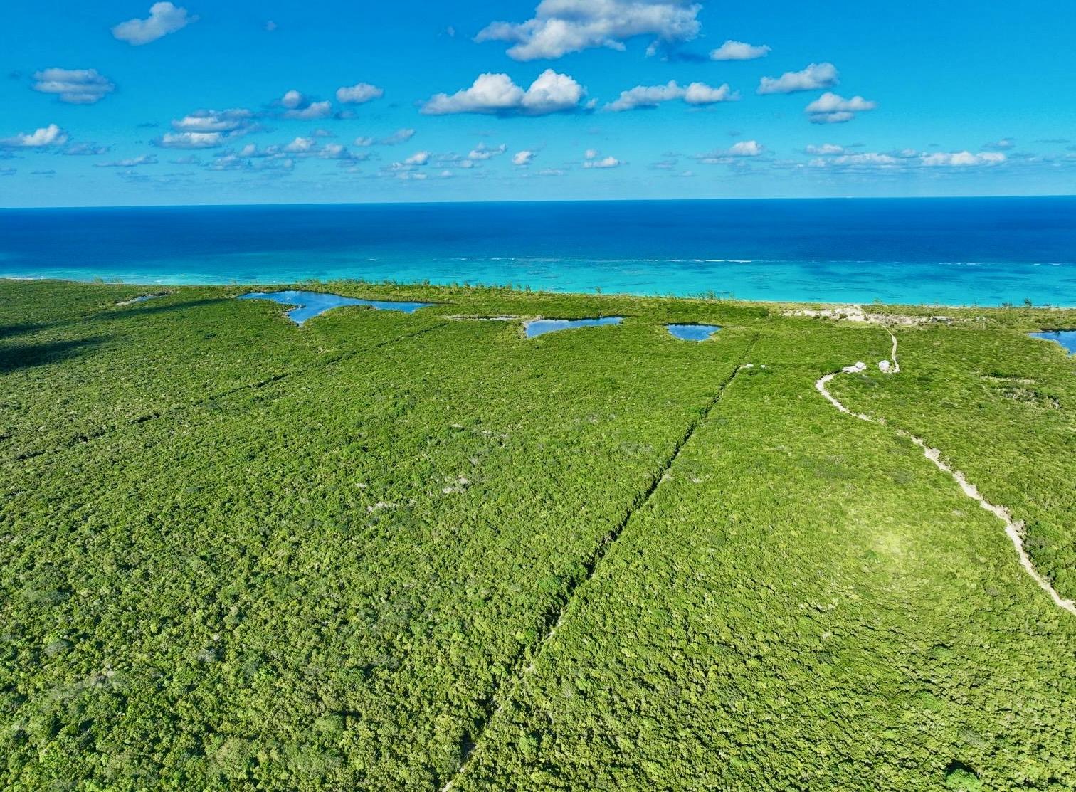 CAMPERDOWN BEACHFRONT LOT