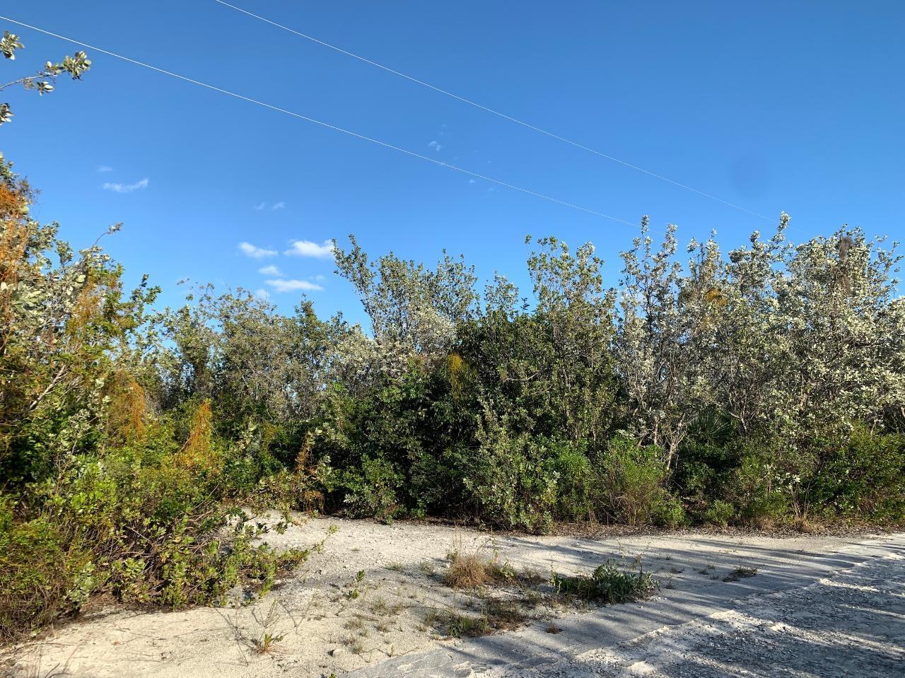 LOT 130 STELLA MARIS