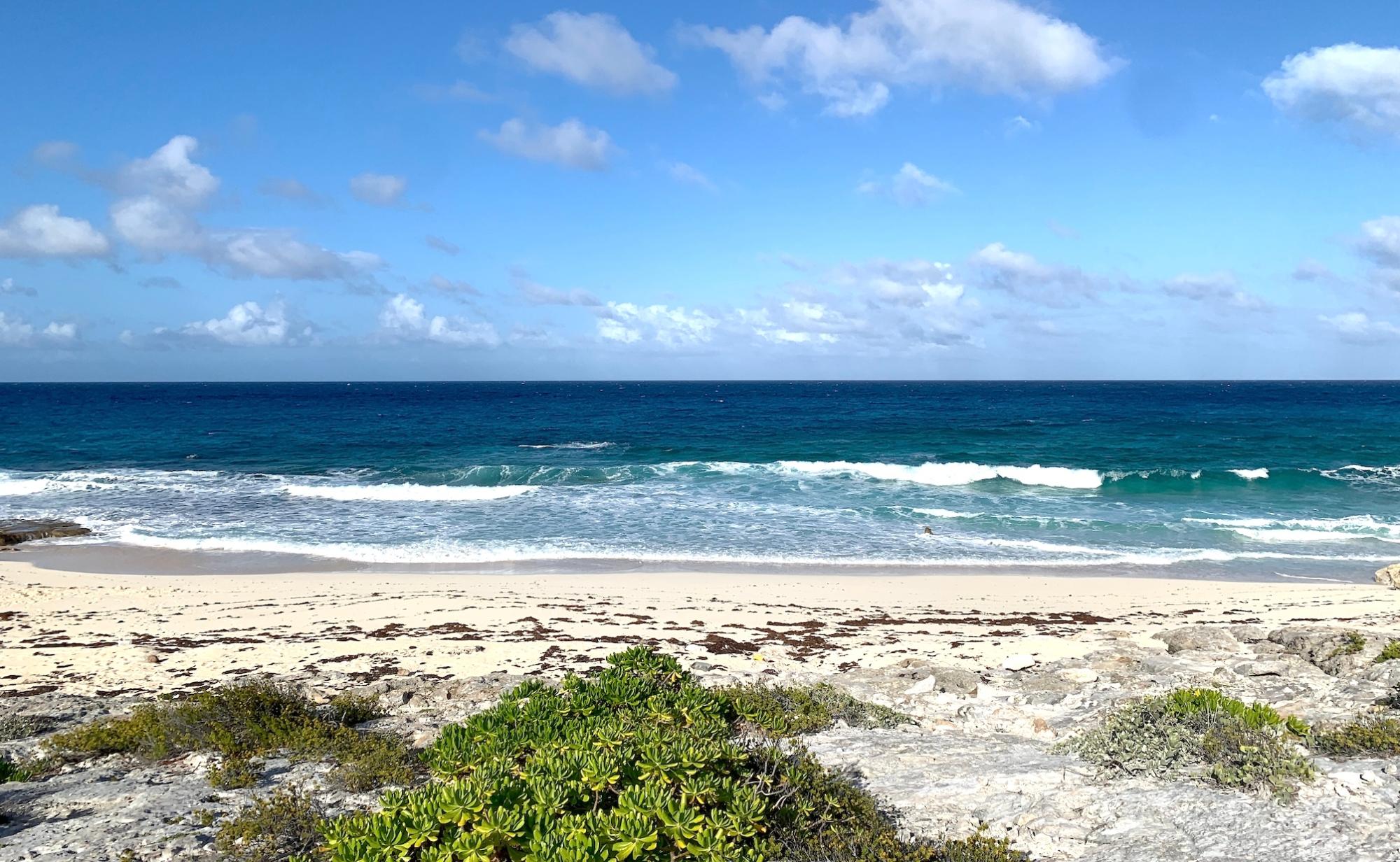 LOT 130 STELLA MARIS