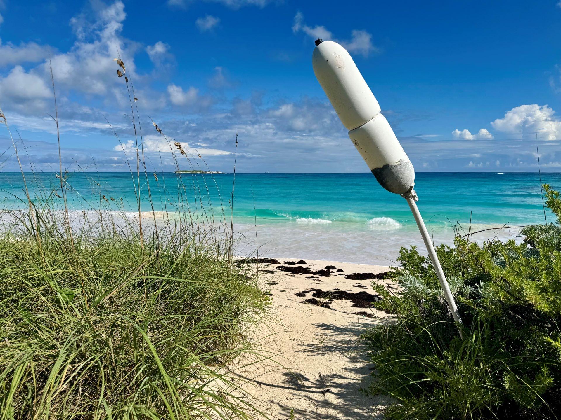 SENZA NOME, DOUBLE BAY