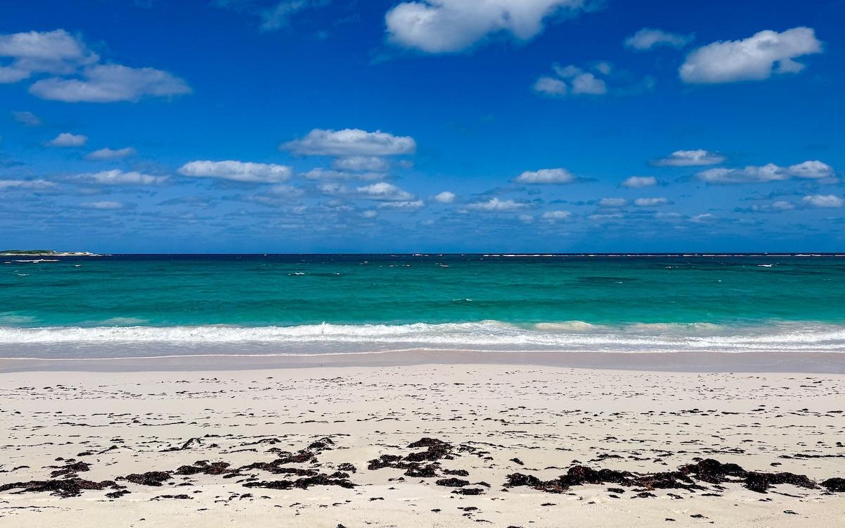 SENZA NOME, DOUBLE BAY