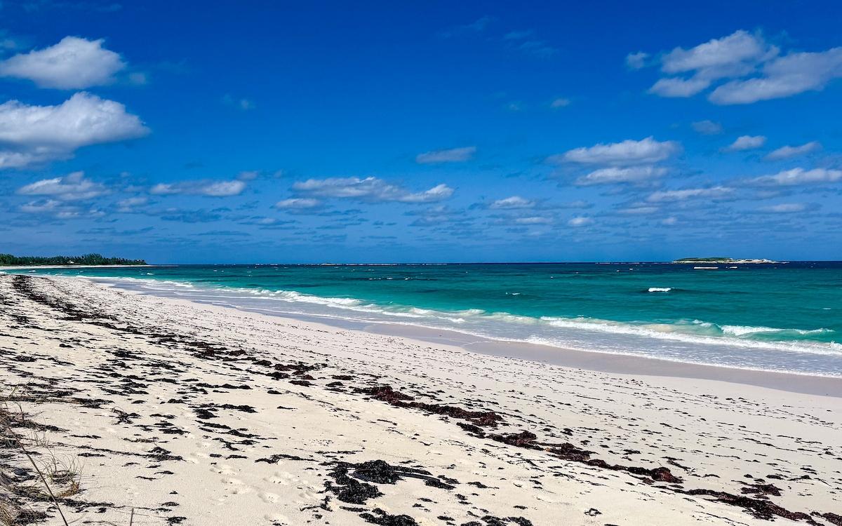 SENZA NOME, DOUBLE BAY