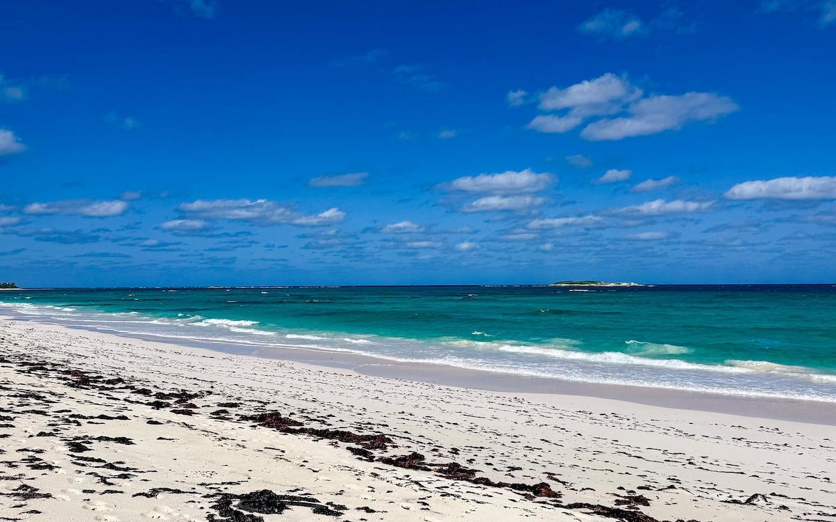 SENZA NOME, DOUBLE BAY