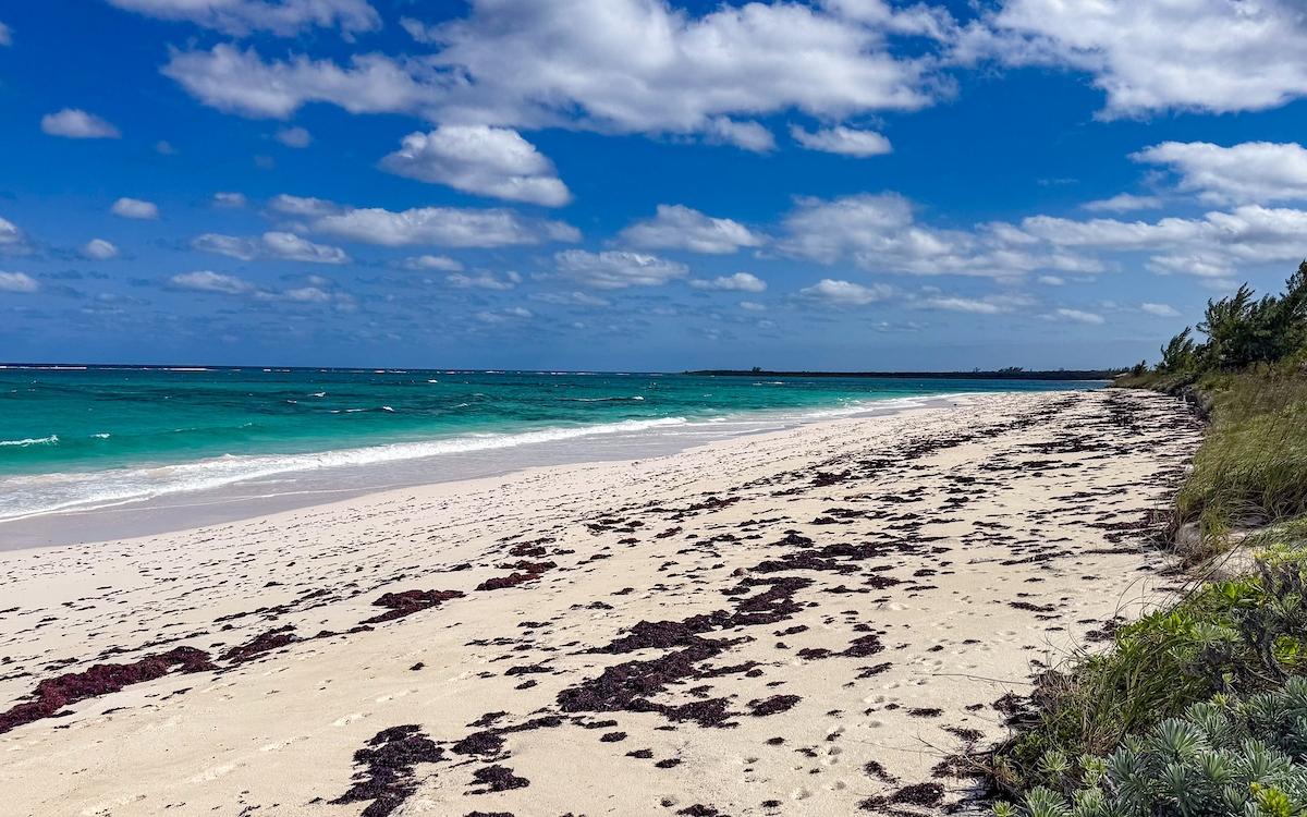 SENZA NOME, DOUBLE BAY