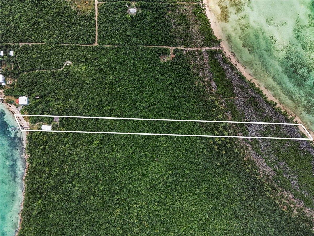 VILLA SAPODILLA LUBBER’S