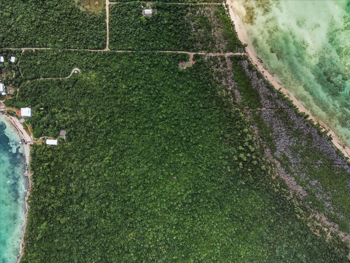 VILLA SAPODILLA LUBBER’S