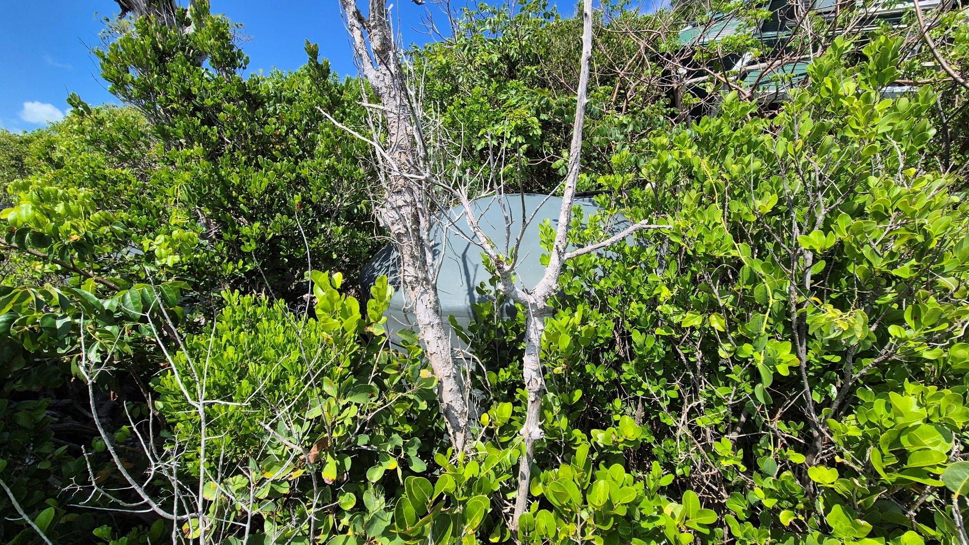 2.39 ACRES ON THE BLUFFS