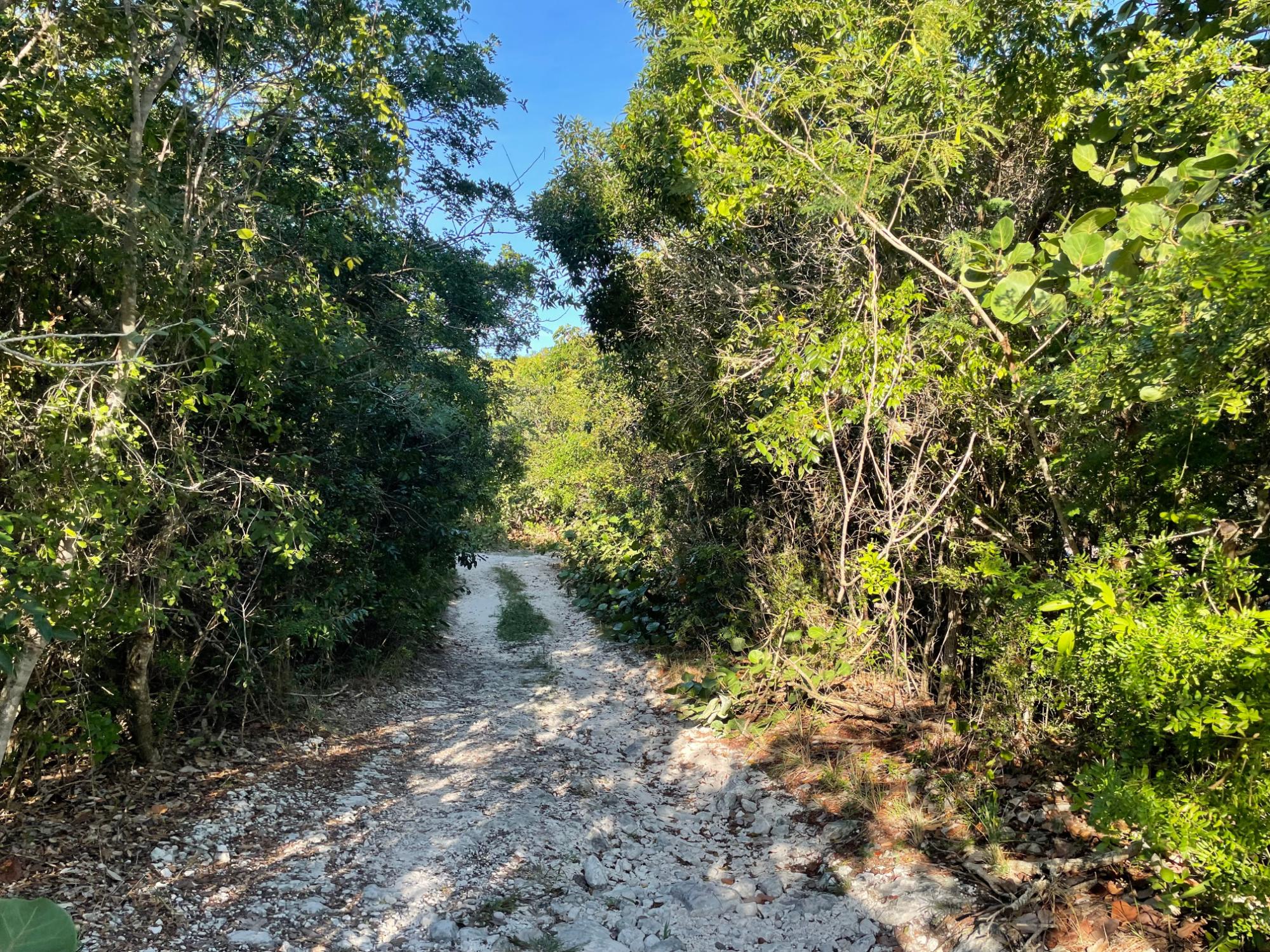 ELEUTHERA ISLAND SHORES