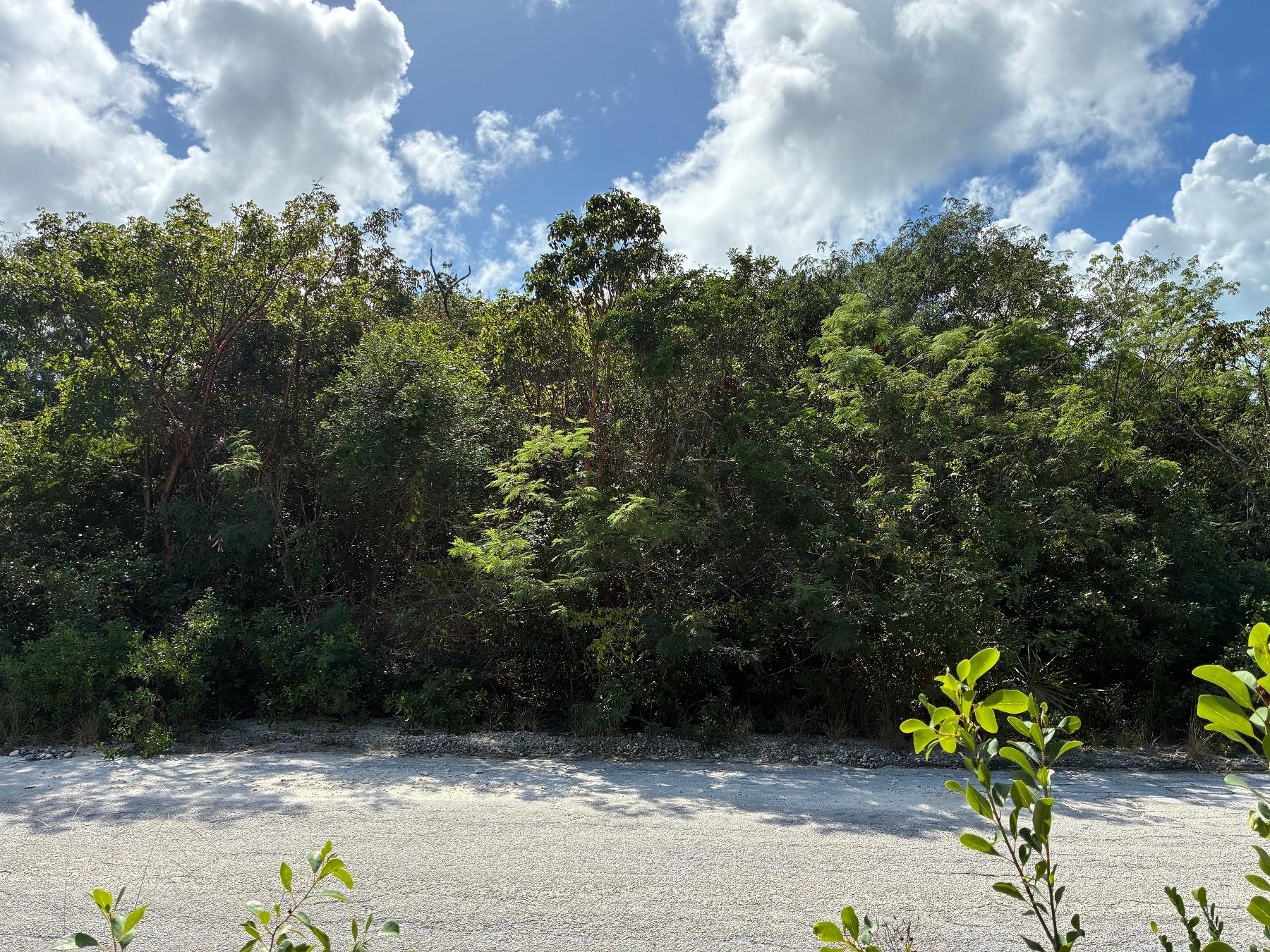 LOT 17727, COLEUS ROAD