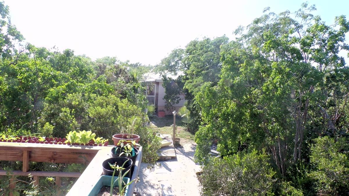 BRENVILLE MILLER RD.