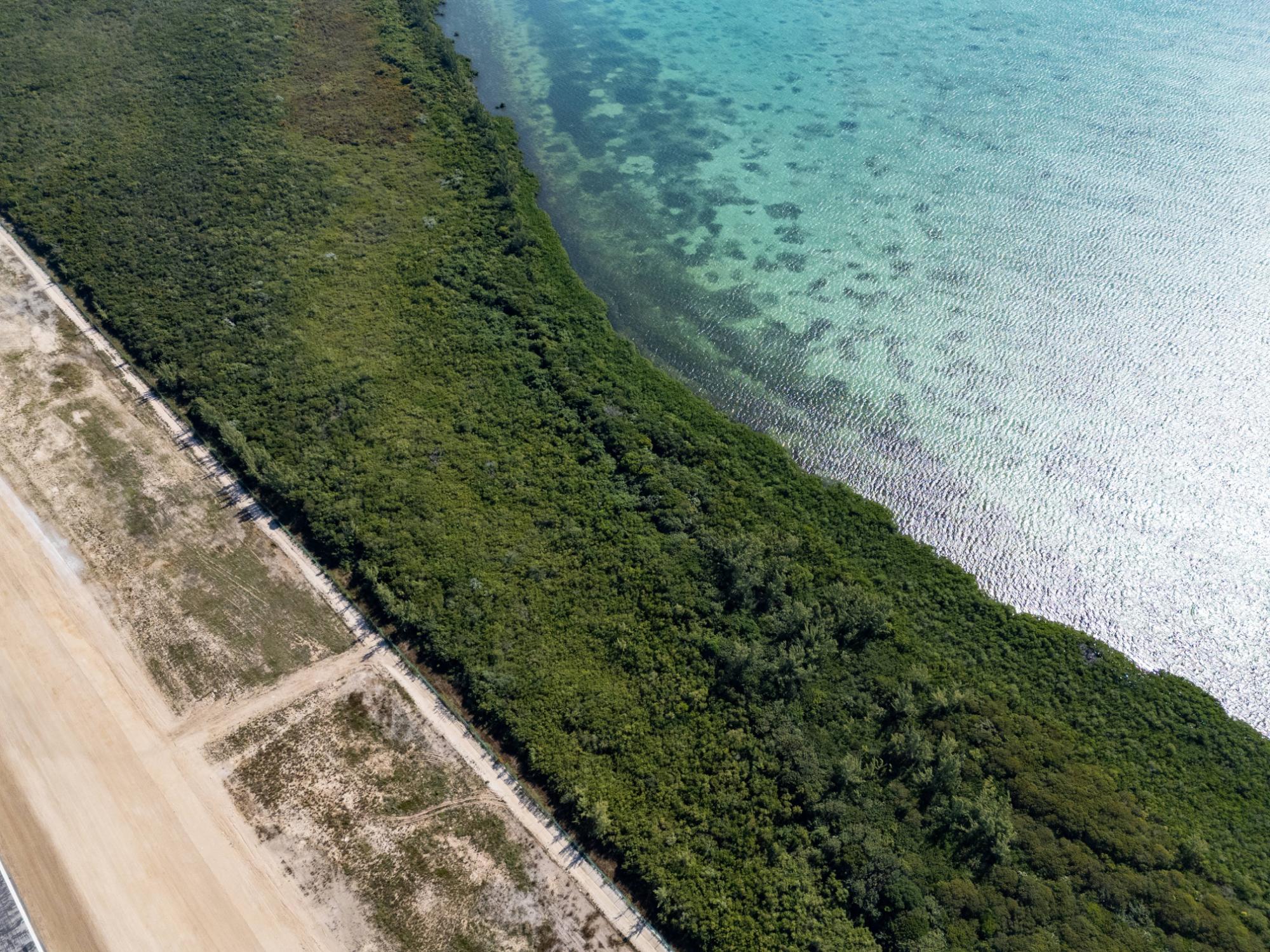 Bimini Acreage