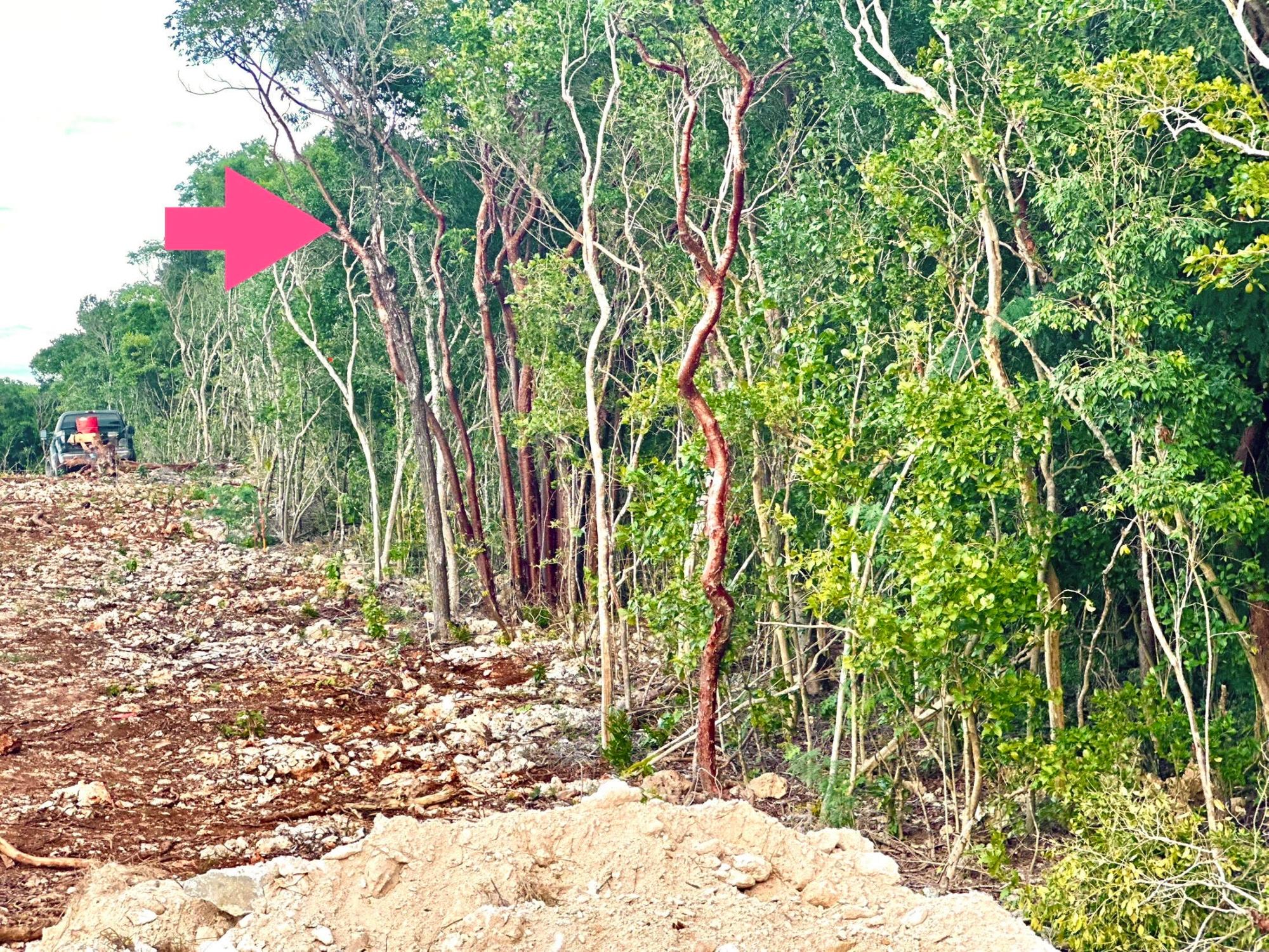 ELEUTHERA GOV HARBOUR LOT