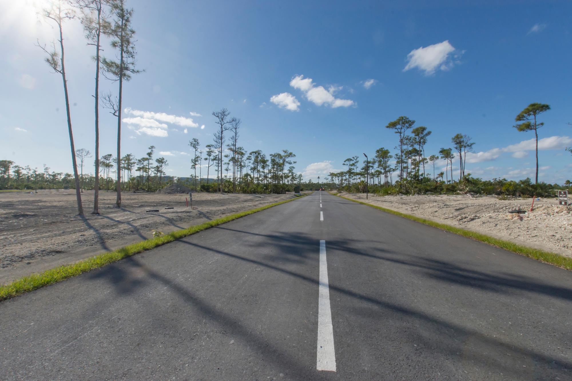 HIBISCUS, WINDSOR LAKES