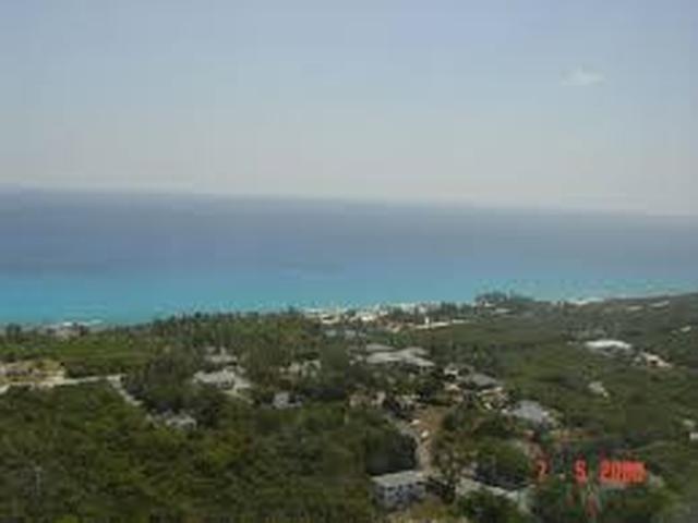 LOT# 231 STELLA MARIS