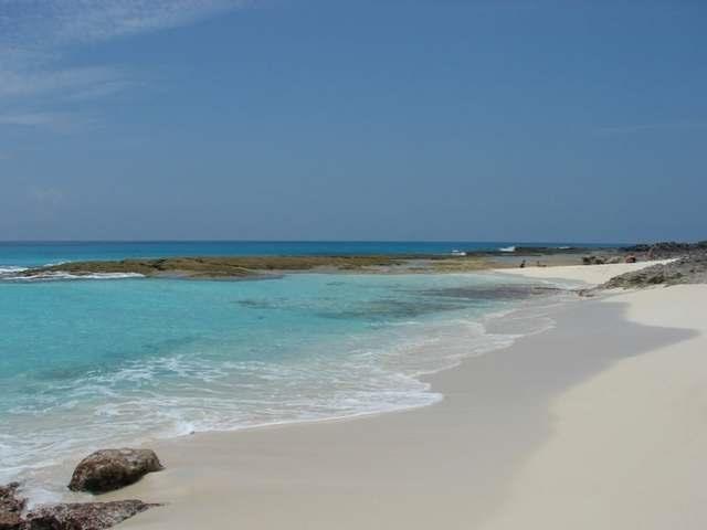 LOT# 231 STELLA MARIS