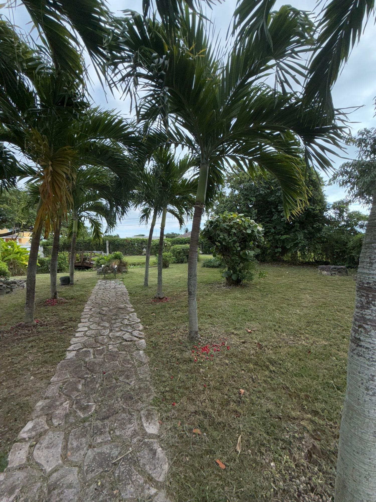 PALM BREEZE DRIVE N.P.