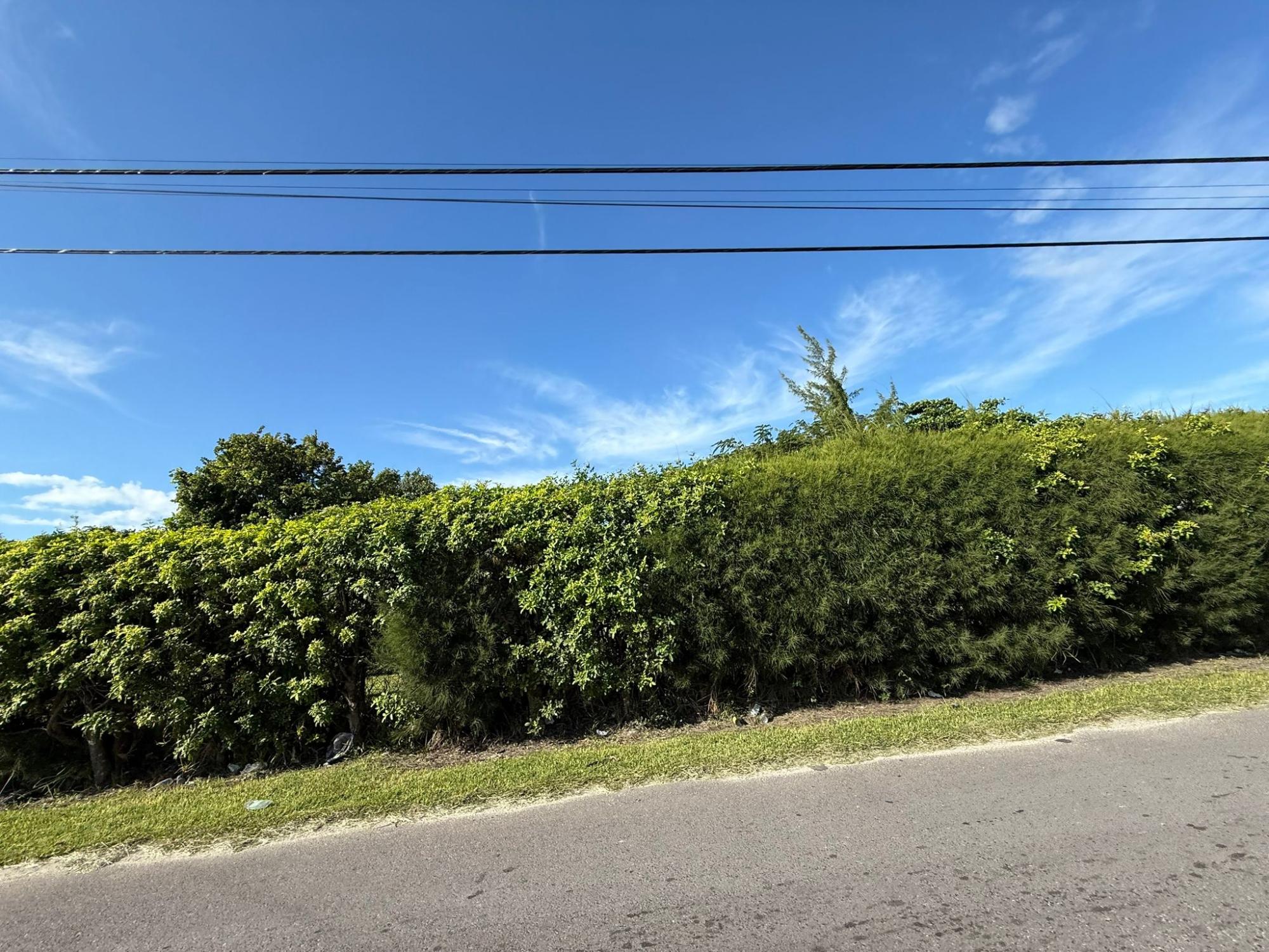 PALM BREEZE DRIVE N.P.