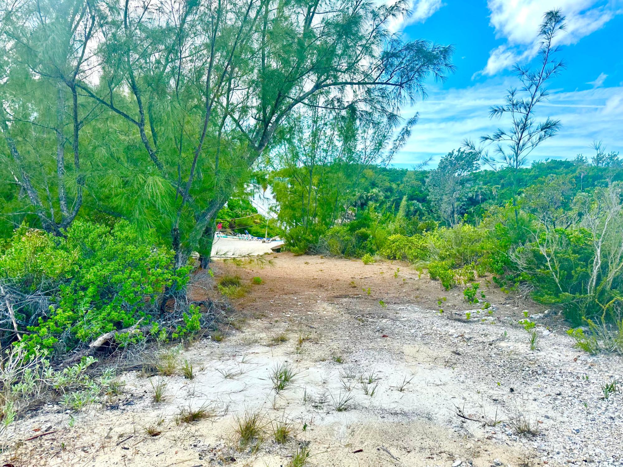 ELEUTH KEMP’S CREEK LOT#1