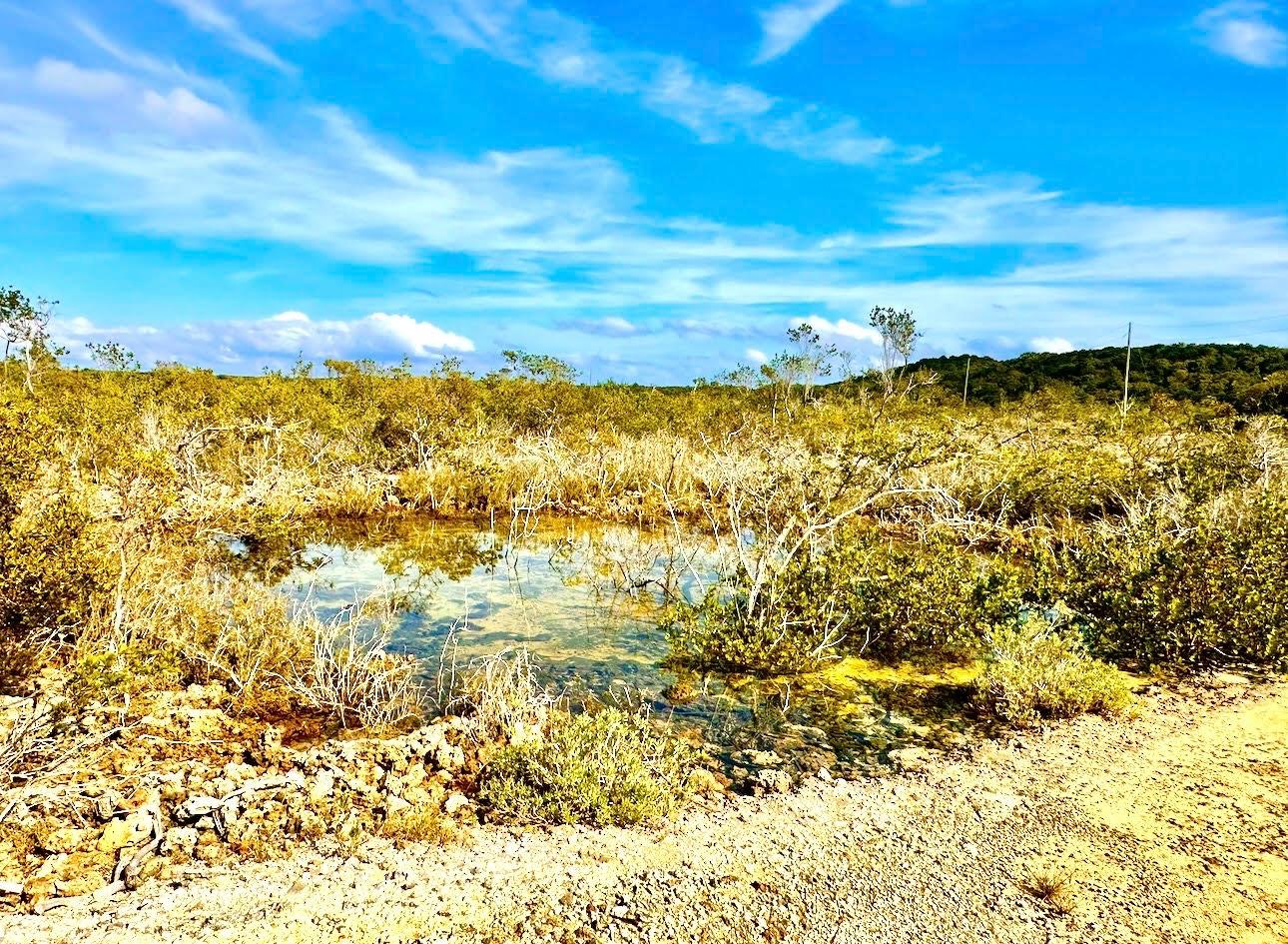 ELEUTH KEMP’S CREEK LOT#1