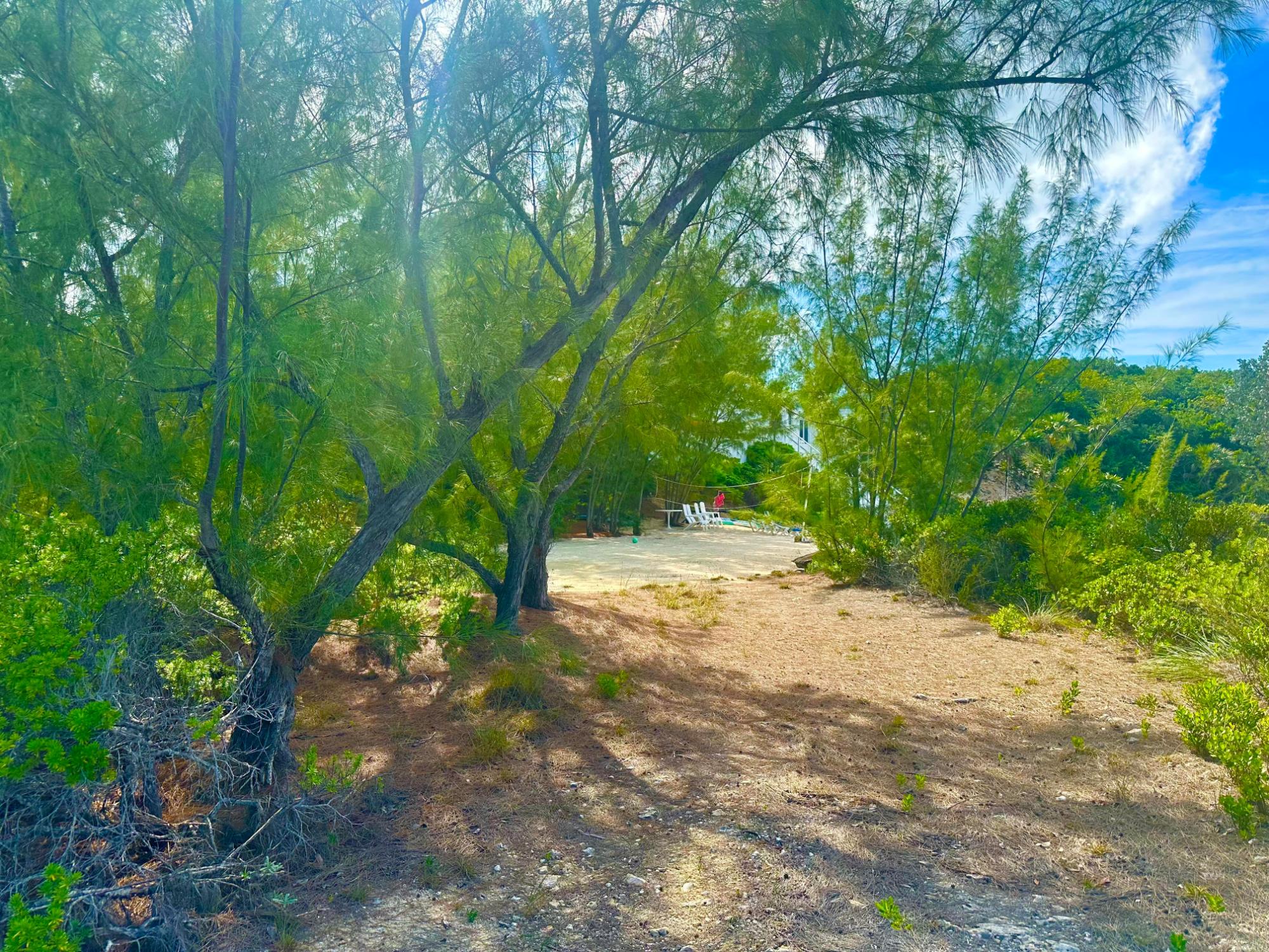 ELEUTH KEMP’S CREEK LOT#1