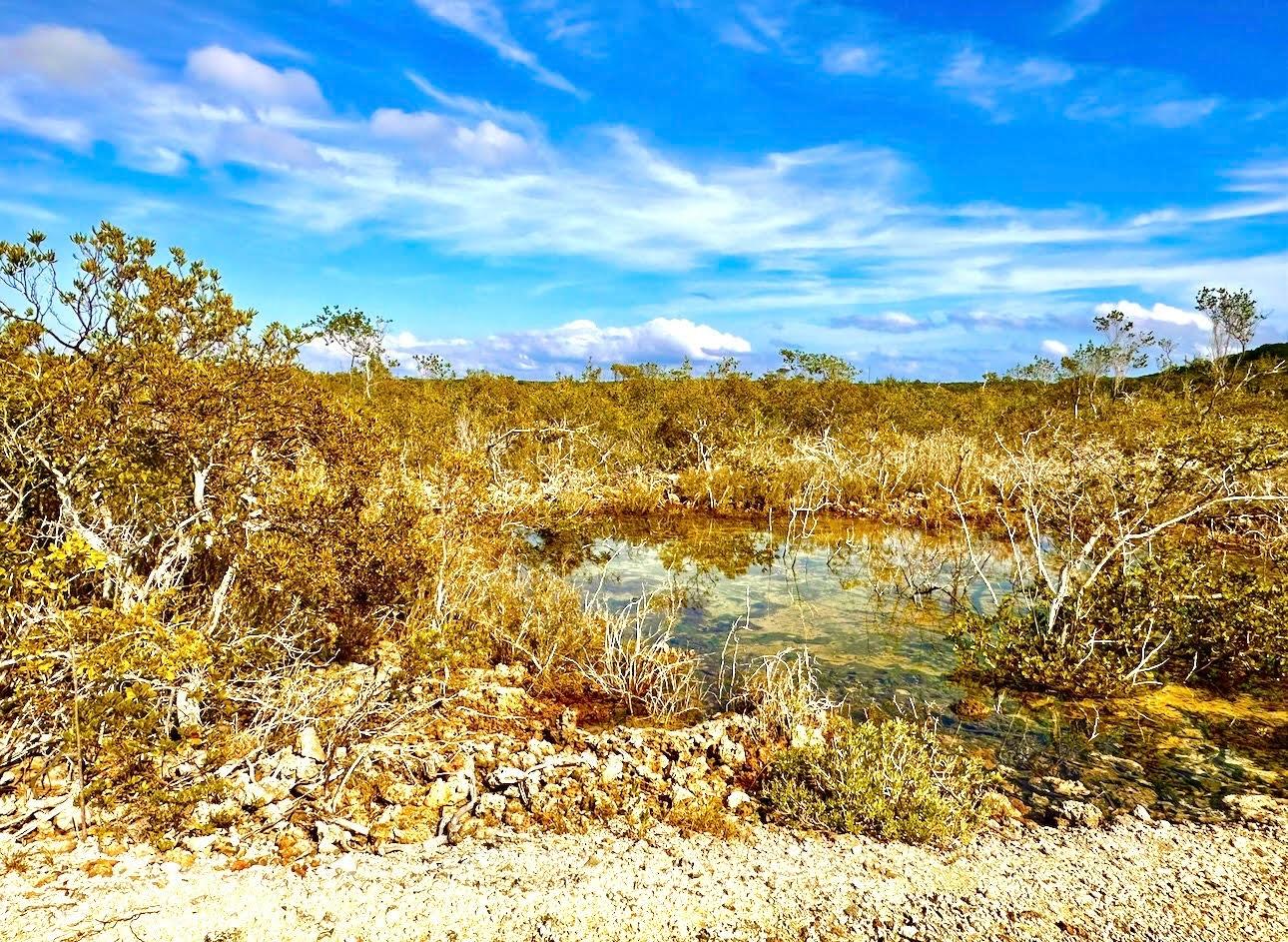 ELEUTH KEMP’S CREEK LOT#2