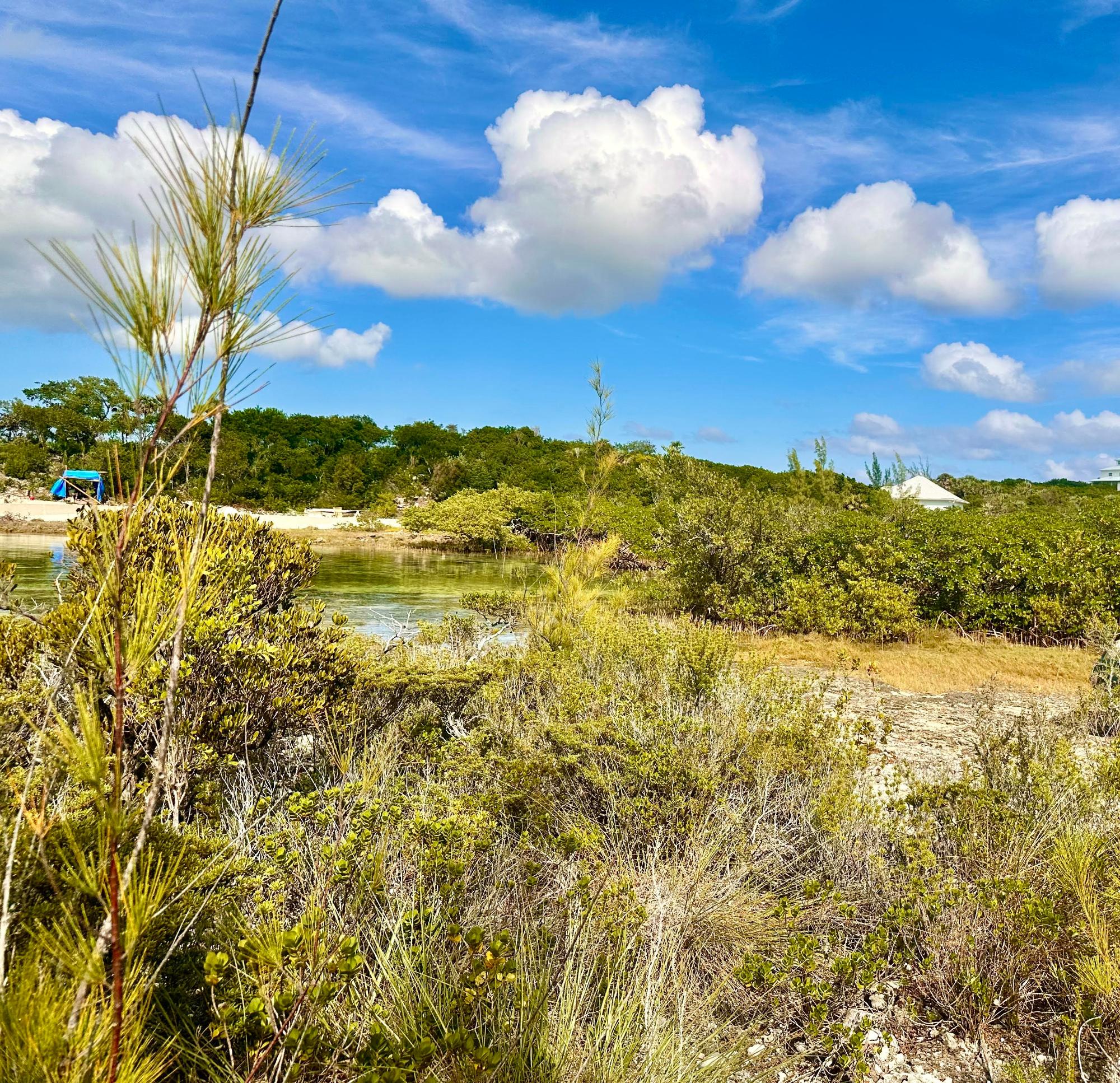 ELEUTH KEMP’S CREEK LOT#2