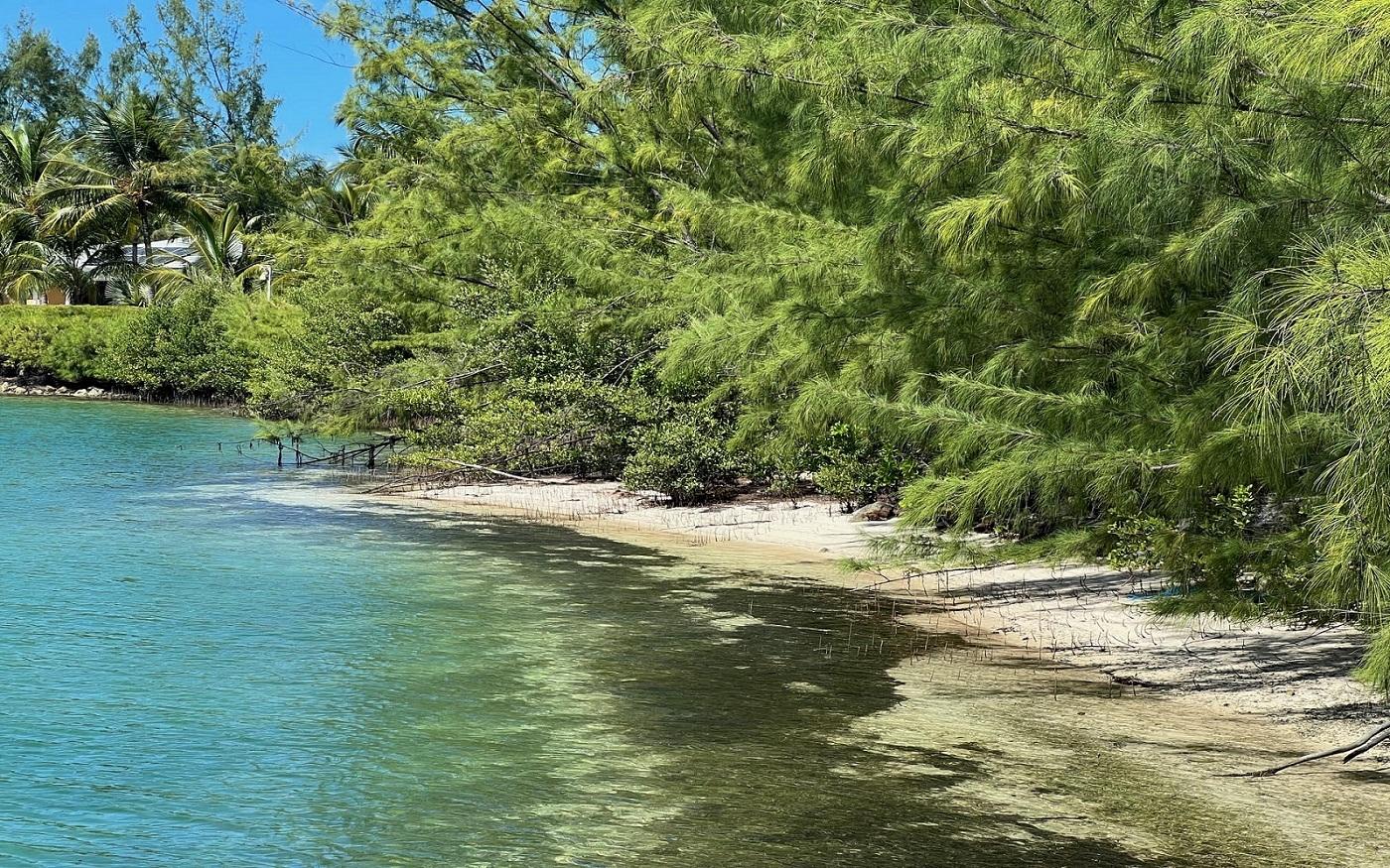 LOT 131, ROSE ISLAND