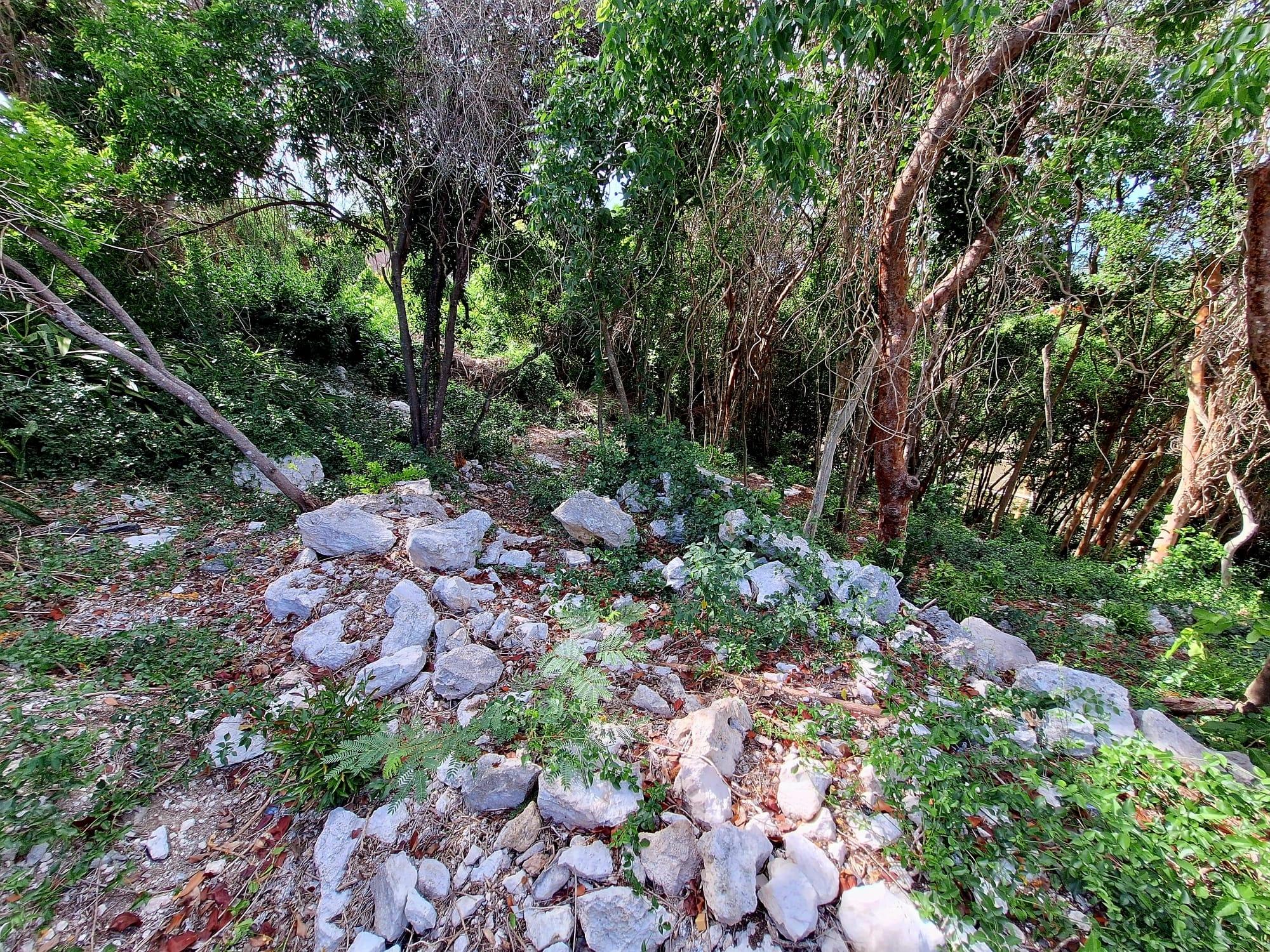 LOT#1048 GARDEN HILLS