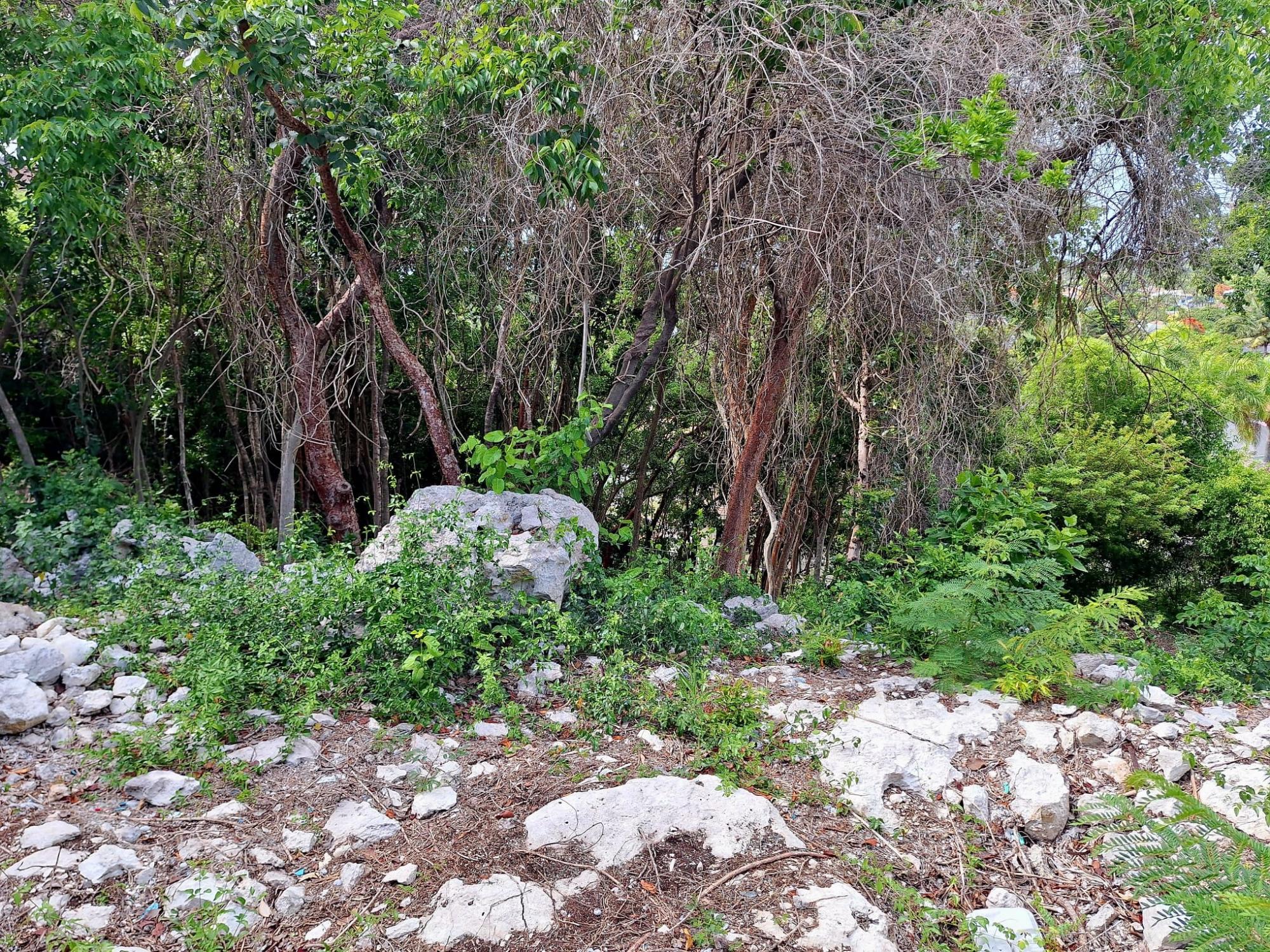 LOT#1048 GARDEN HILLS