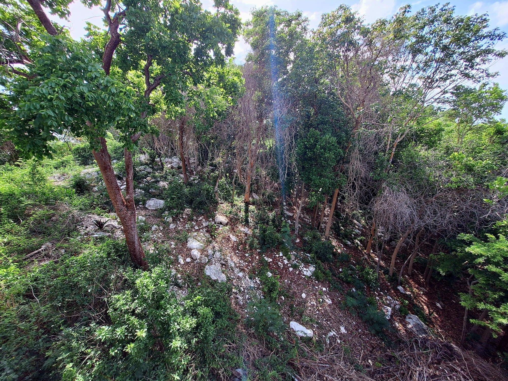 LOT#1048 GARDEN HILLS