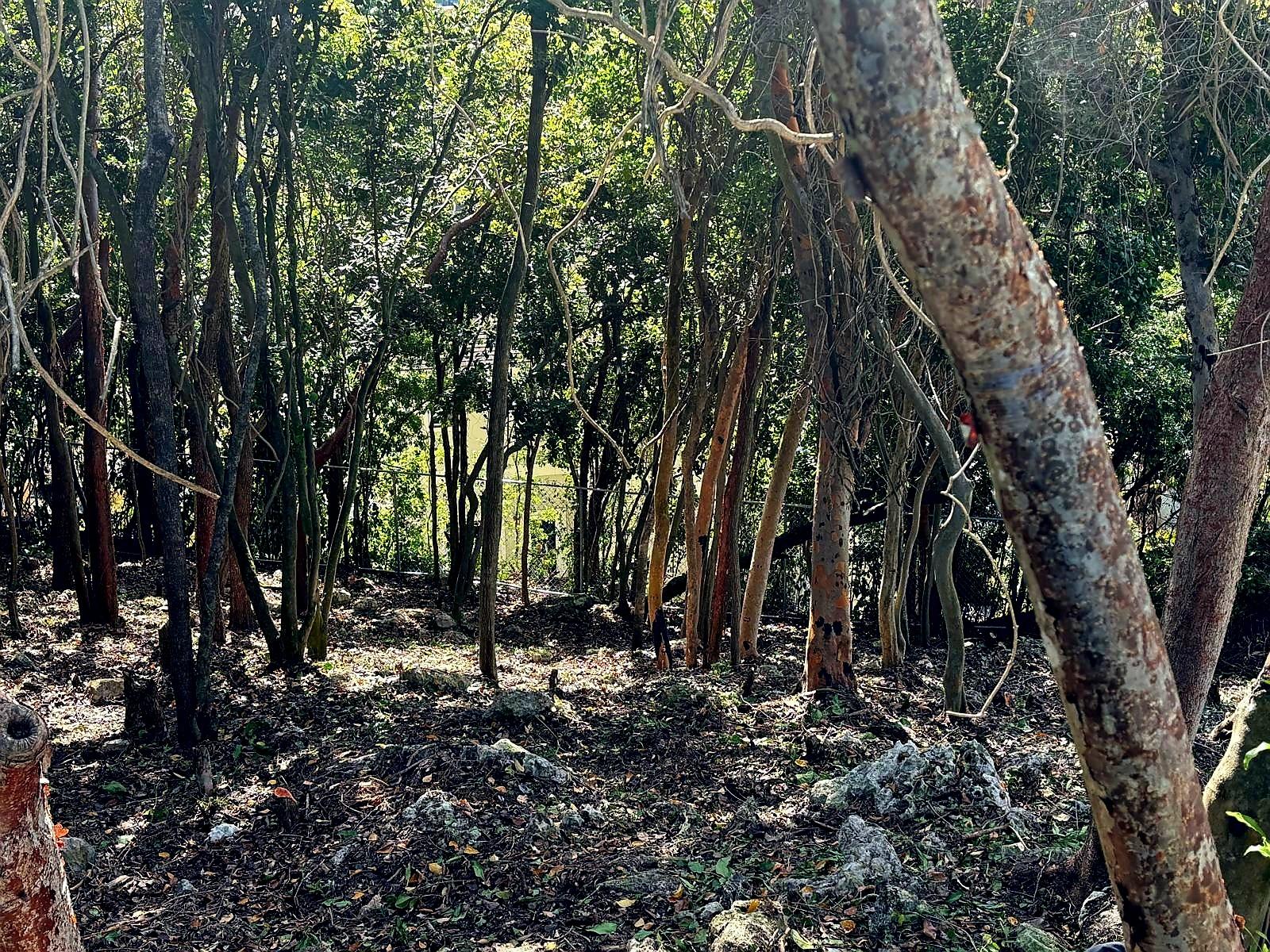 LOT#1048 GARDEN HILLS