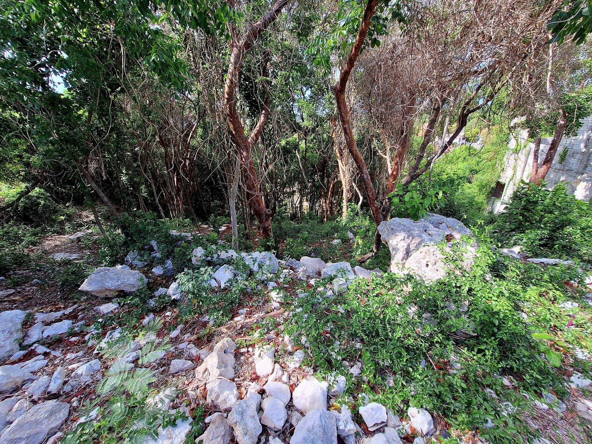 LOT#1049 GARDEN HILLS