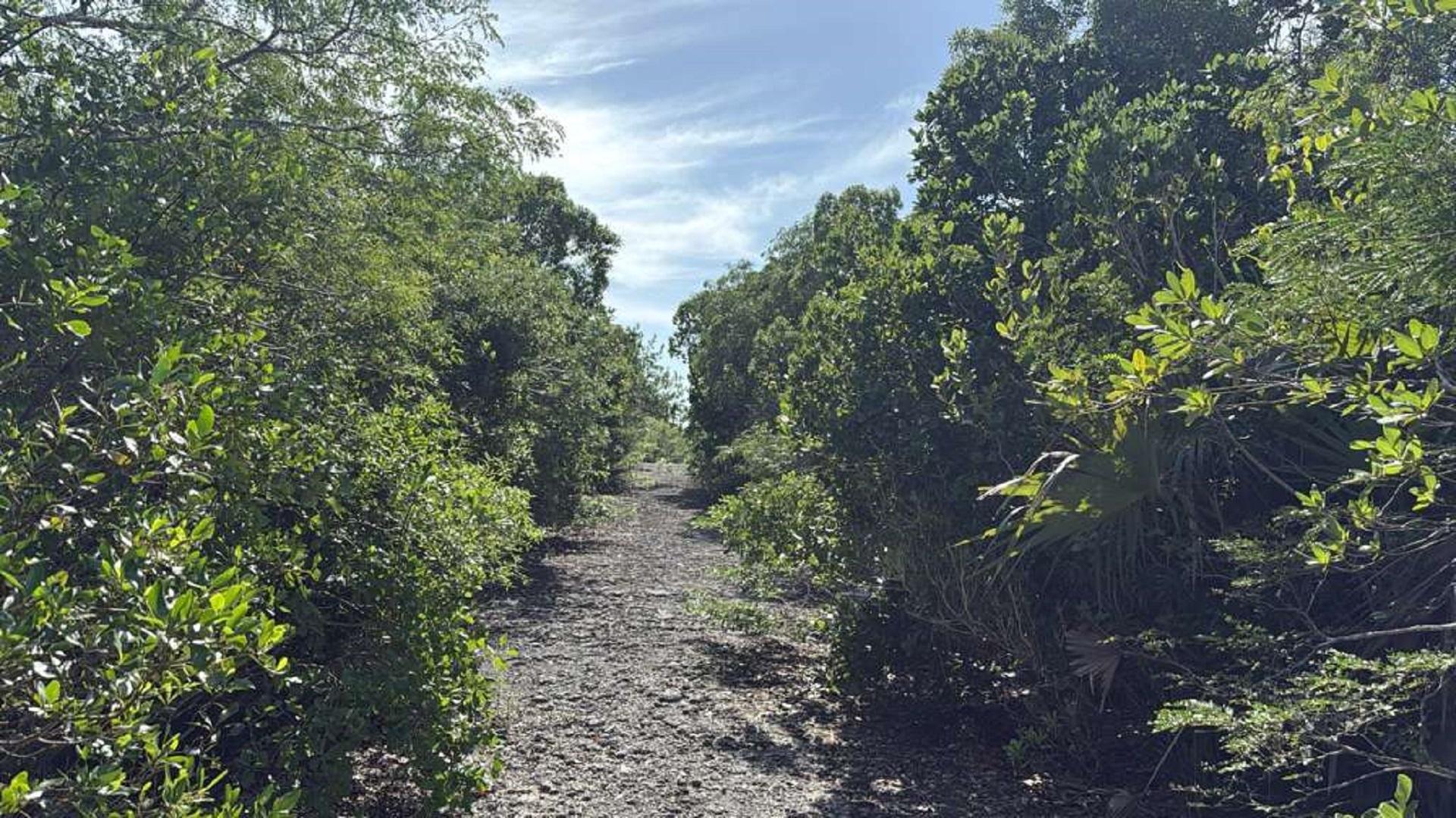 LOT 1403 OLD AIRPORT ROAD