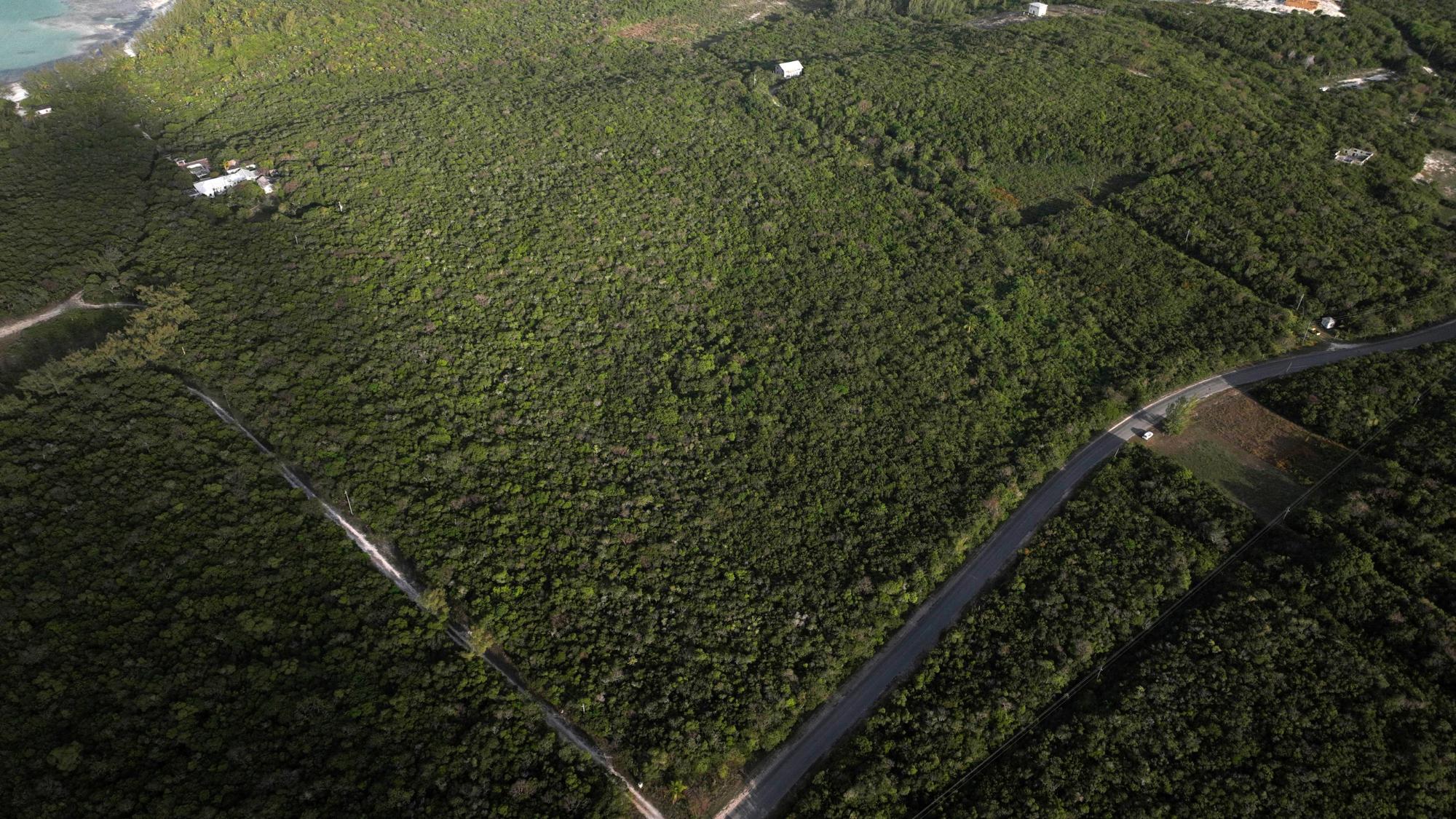QUEEN’S HIGHWAY, SAVANNAH